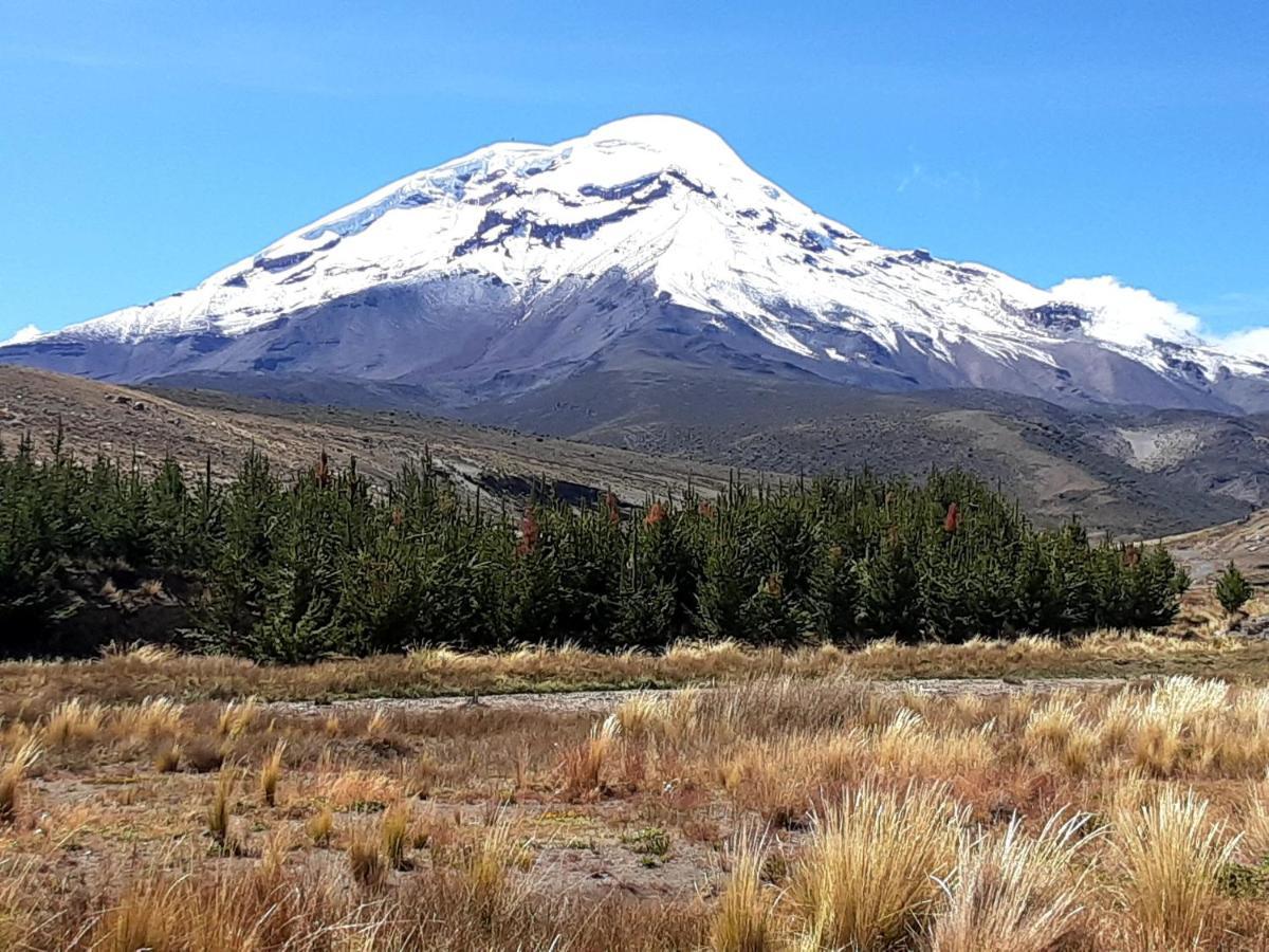 Hospedaje Chimborazo Bagian luar foto