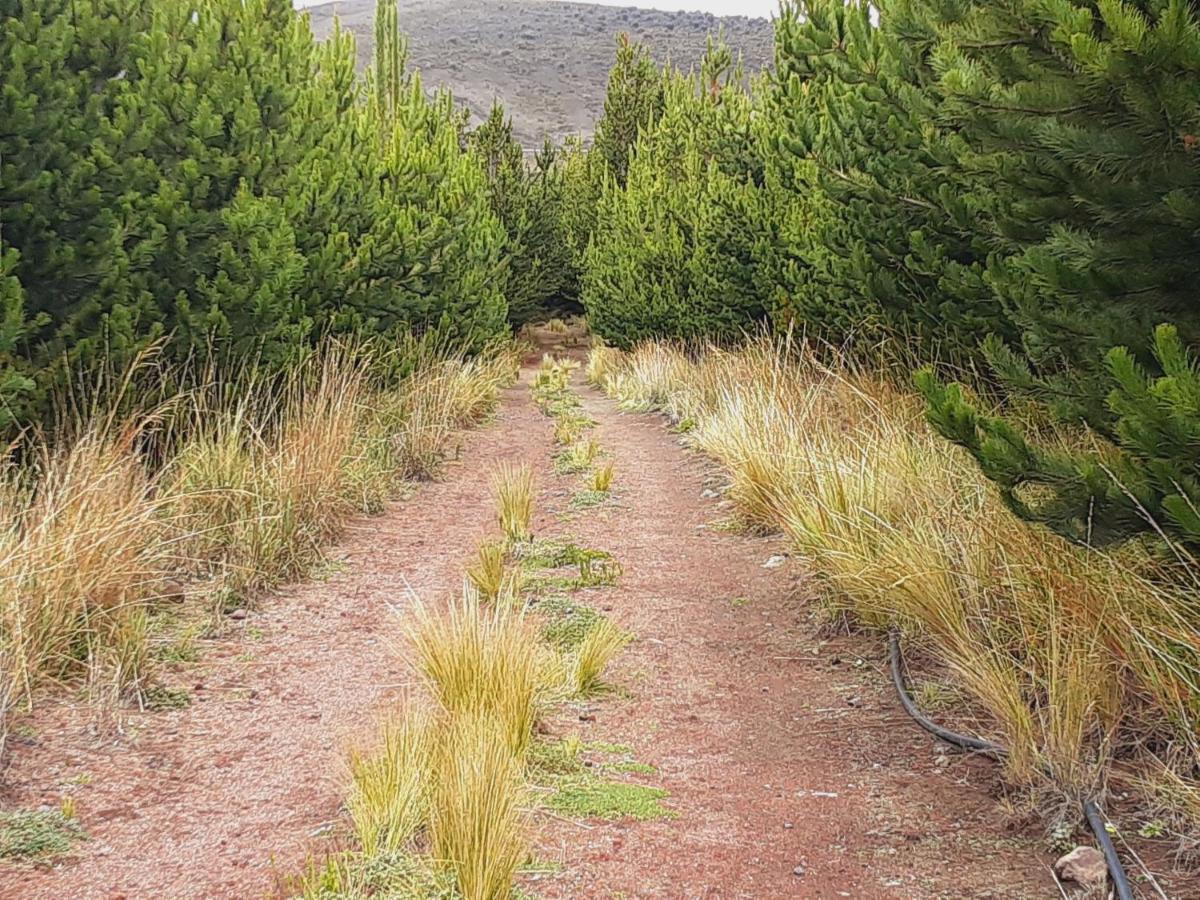 Hospedaje Chimborazo Bagian luar foto