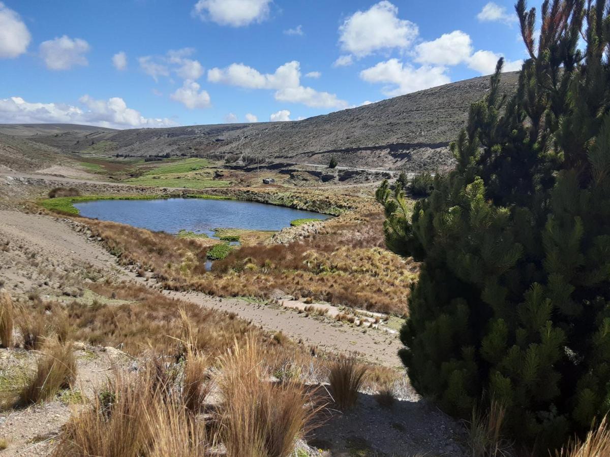 Hospedaje Chimborazo Bagian luar foto