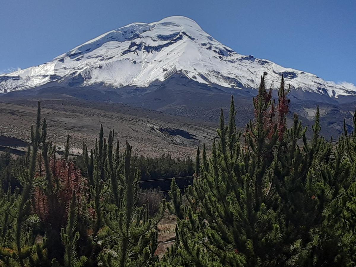 Hospedaje Chimborazo Bagian luar foto