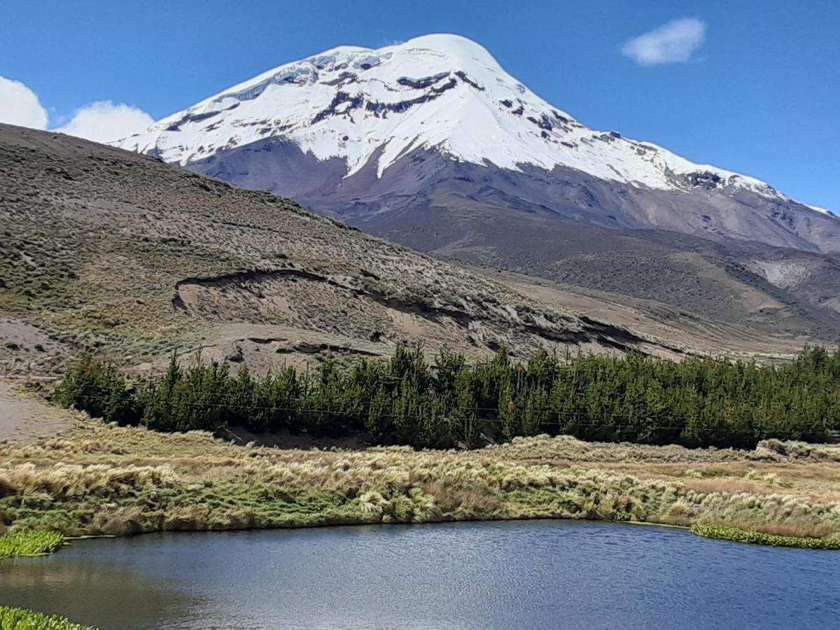 Hospedaje Chimborazo Bagian luar foto